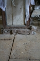 Albania_2009 354